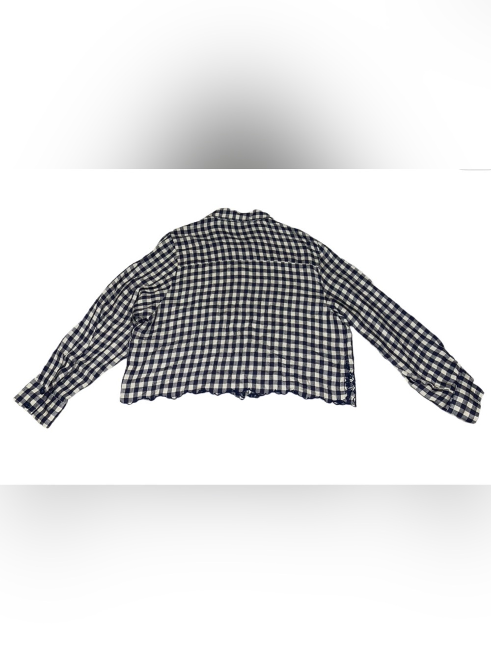 Zara Blue and White Gingham Button-Down Top with Floral Cutwork - Picture 4 of 5